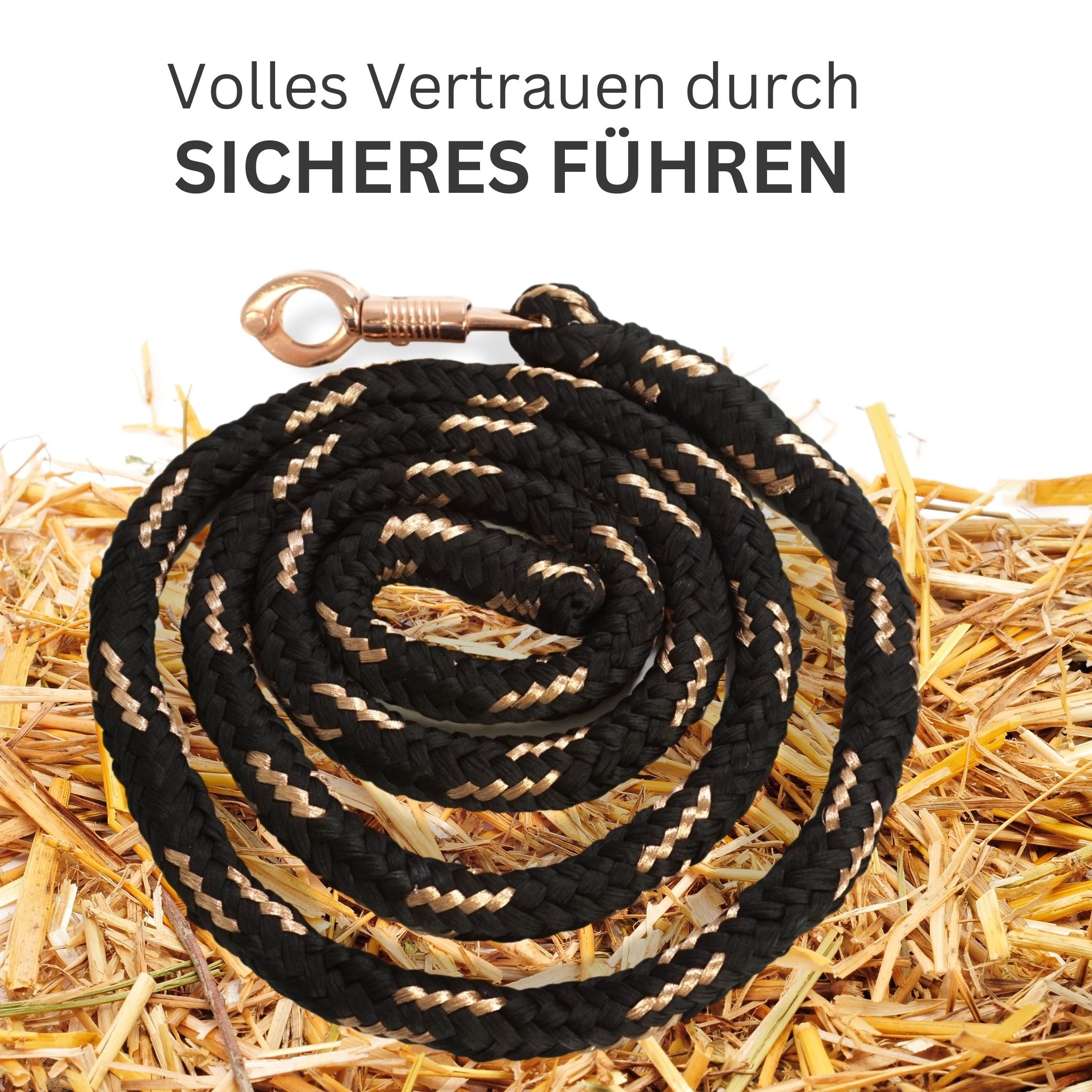 Führstrick mit Panikhaken rosegold, Länge 2m